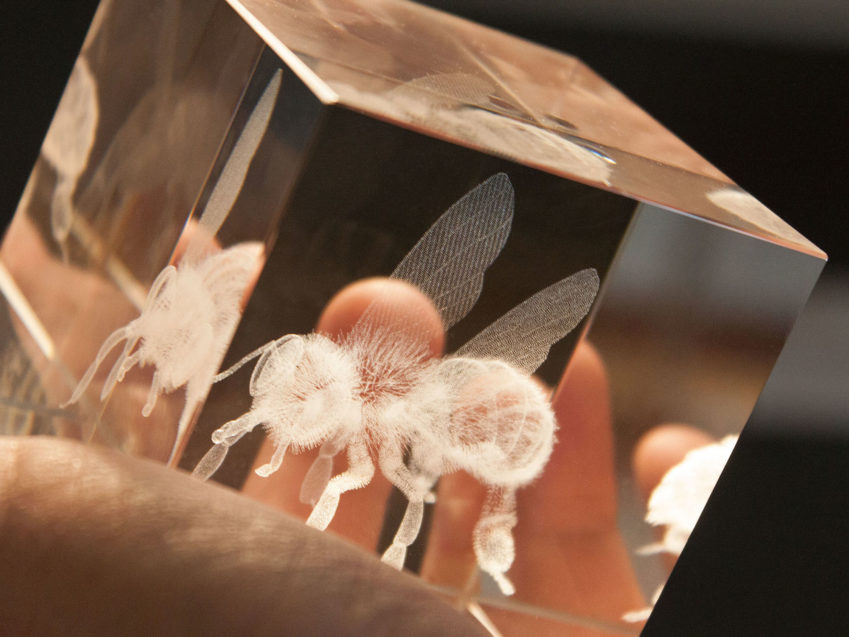 Schweizer Geschenke Schweizer Produkte Biene im Glas 3D Glasquader Biene Glas Deko KURTS.ch