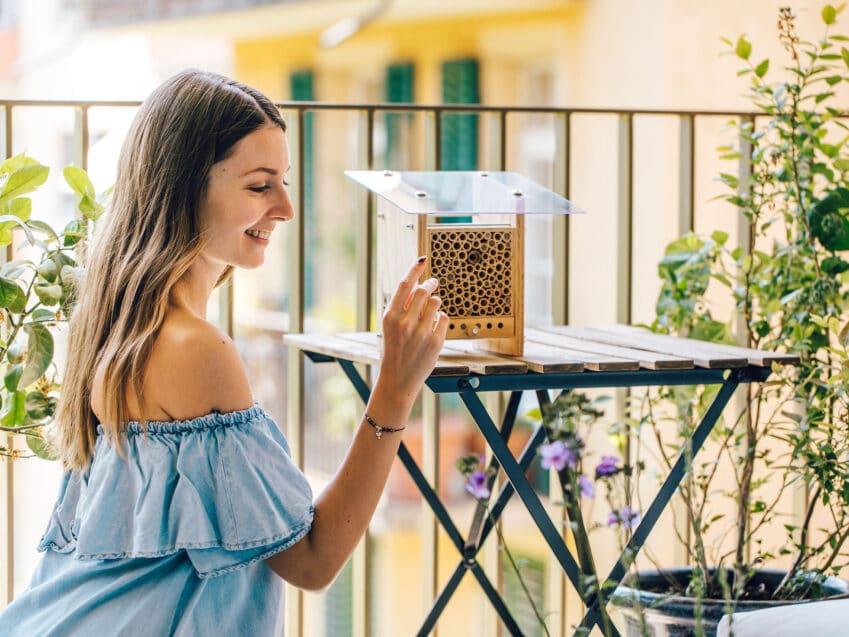 Schweizer Geschenke Schweizer Produkte BeeHome Wildbienenhaus KURTS.ch