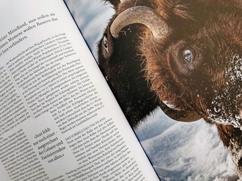 Schweizer Geschenke Schweizer Produkte Transhelvetica Magazin Schweizer Magazin für Reisekultur - Die Kunst des Reisens Abo