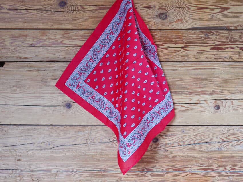 Schweizer Geschenke Schweizer Produkte Glarner Tuechli rot Original mood